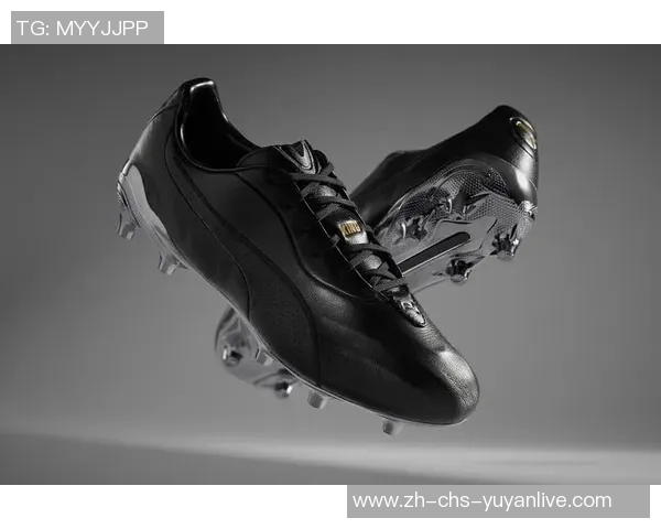 足球鞋刺客的传奇之路：从草地到赛场的无畏征程与荣耀时刻